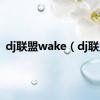 dj联盟wake（dj联盟）