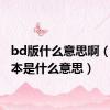 bd版什么意思啊（bd版本是什么意思）