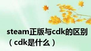 steam正版与cdk的区别（cdk是什么）