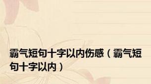 霸气短句十字以内伤感（霸气短句十字以内）