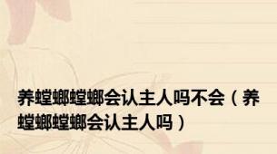 养螳螂螳螂会认主人吗不会（养螳螂螳螂会认主人吗）