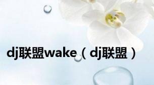 dj联盟wake（dj联盟）