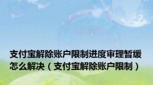 支付宝解除账户限制进度审理暂缓怎么解决（支付宝解除账户限制）