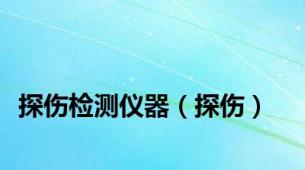 探伤检测仪器（探伤）