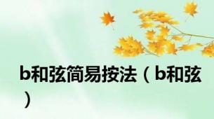 b和弦简易按法（b和弦）