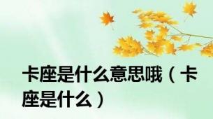 卡座是什么意思哦（卡座是什么）