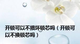 开锁可以不损坏锁芯吗（开锁可以不换锁芯吗）