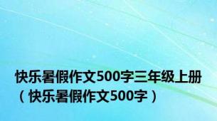 快乐暑假作文500字三年级上册（快乐暑假作文500字）