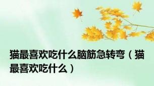 猫最喜欢吃什么脑筋急转弯（猫最喜欢吃什么）