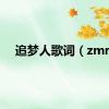 追梦人歌词（zmr）