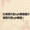 红底照片的rgb数值是什么（红底照片的rgb数值）