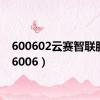 600602云赛智联股吧（6006）