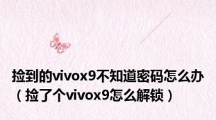 捡到的vivox9不知道密码怎么办（捡了个vivox9怎么解锁）