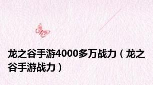 龙之谷手游4000多万战力（龙之谷手游战力）