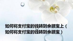 如何将支付宝的钱转到余额宝上（如何将支付宝的钱转到余额宝）