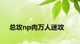 总攻np肉万人迷攻