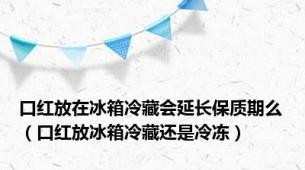 口红放在冰箱冷藏会延长保质期么（口红放冰箱冷藏还是冷冻）