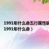 1991年什么命五行属性缺什么（1991年什么命）