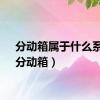 分动箱属于什么系统（分动箱）