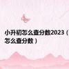 小升初怎么查分数2023（小升初怎么查分数）