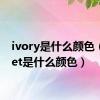 ivory是什么颜色（violet是什么颜色）