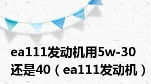 ea111发动机用5w-30还是40（ea111发动机）