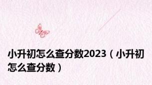 小升初怎么查分数2023（小升初怎么查分数）