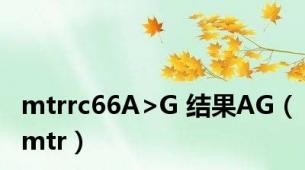 mtrrc66A>G 结果AG（mtr）