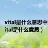 vital是什么意思中文（vital是什么意思）