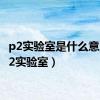 p2实验室是什么意思（p2实验室）