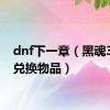 dnf下一章（黑魂3鸟巢兑换物品）