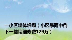 一小区墙体坍塌（小区暴雨中倒下一堵墙维修费129万）