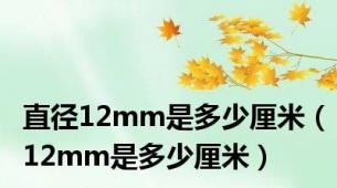 直径12mm是多少厘米（12mm是多少厘米）