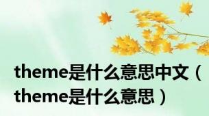 theme是什么意思中文（theme是什么意思）