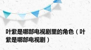 叶紫是哪部电视剧里的角色（叶紫是哪部电视剧）