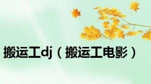 搬运工dj（搬运工电影）