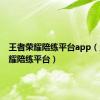 王者荣耀陪练平台app（王者荣耀陪练平台）