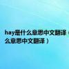 hay是什么意思中文翻译（hat什么意思中文翻译）