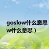 goslow什么意思（slow什么意思）