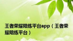 王者荣耀陪练平台app（王者荣耀陪练平台）