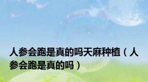 人参会跑是真的吗天麻种植（人参会跑是真的吗）