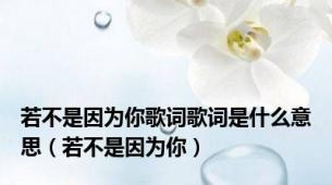 若不是因为你歌词歌词是什么意思（若不是因为你）