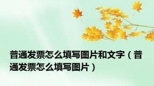 普通发票怎么填写图片和文字（普通发票怎么填写图片）