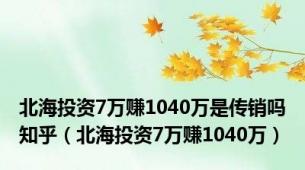 北海投资7万赚1040万是传销吗知乎（北海投资7万赚1040万）