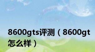 8600gts评测（8600gt怎么样）