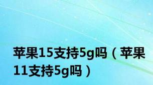 苹果15支持5g吗（苹果11支持5g吗）