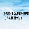 34属什么的34岁属啥的（34属什么）