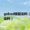 gelred核酸染料（核酸染料）