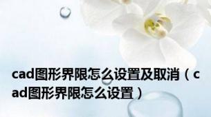 cad图形界限怎么设置及取消（cad图形界限怎么设置）