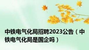 中铁电气化局招聘2023公告（中铁电气化局是国企吗）